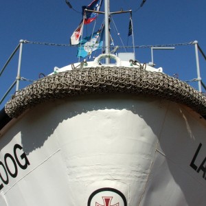 Den Wellen die Stirn bieten I.