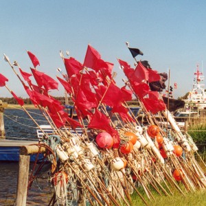 Darsser Ort Nothafen