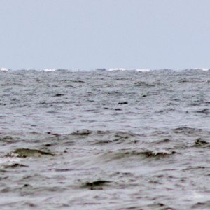 SRB Franz Stapelfeldt, Einsatz vor Wangerooge 2011.