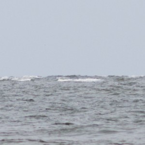 SRB Franz Stapelfeldt, Einsatz vor Wangerooge 2011.