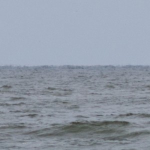 SRB Franz Stapelfeldt, Einsatz vor Wangerooge 2011.