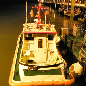 SRB Wilma Sikorski, Wangerooge, Nacht, 2008.